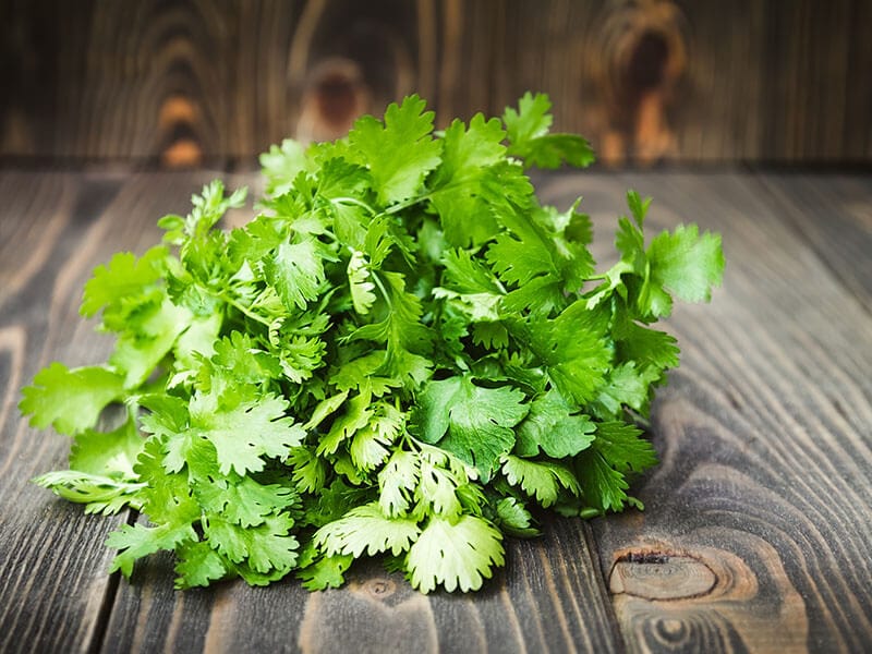 Coriander Leaves