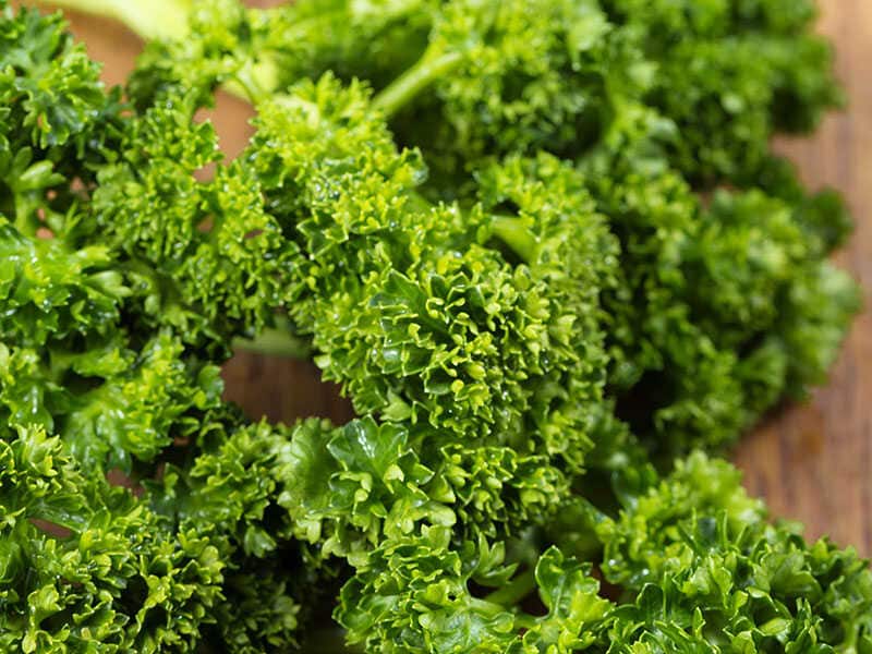 Curly Parsley