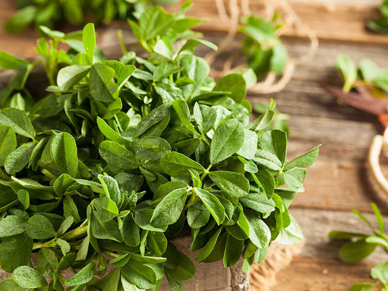 Fenugreek Leaves