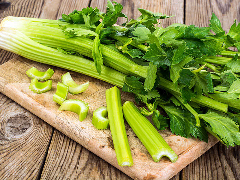 Fresh Celery Stalk Leaves