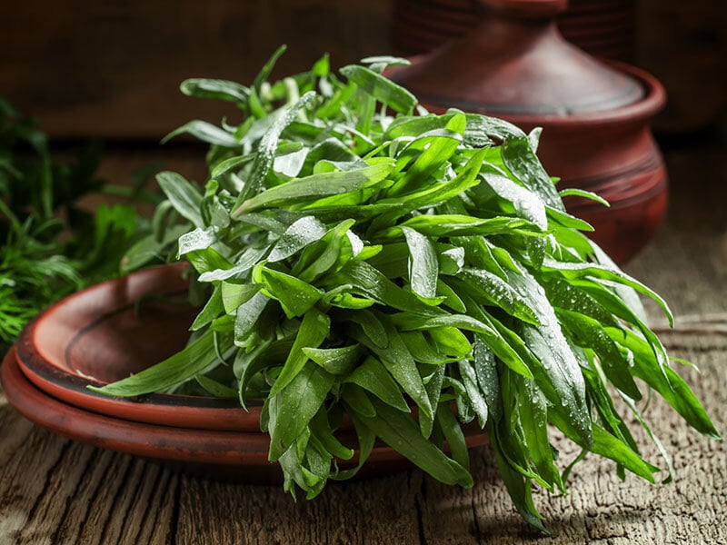 Fresh Green Tarragon