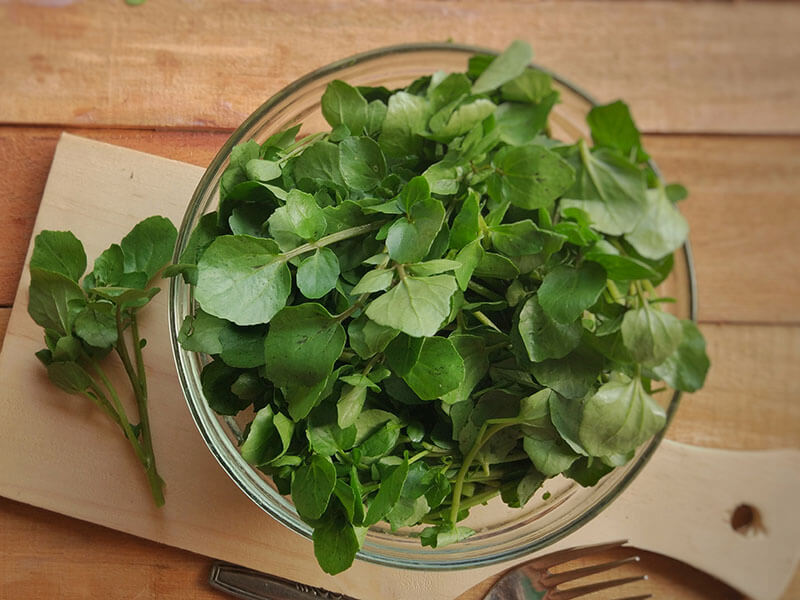 Fresh Watercress