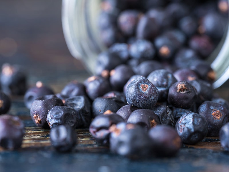 Juniper Berries