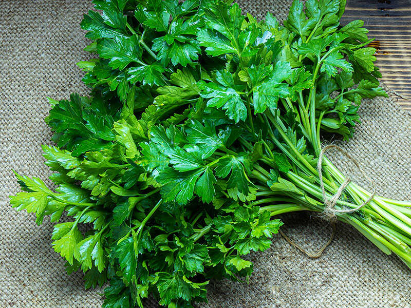 Parsley Healthy