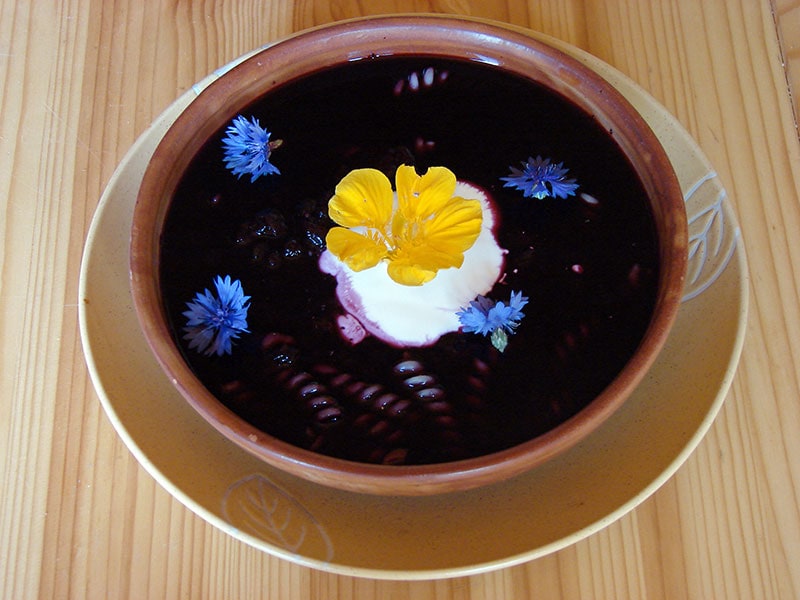 Blueberry Soup