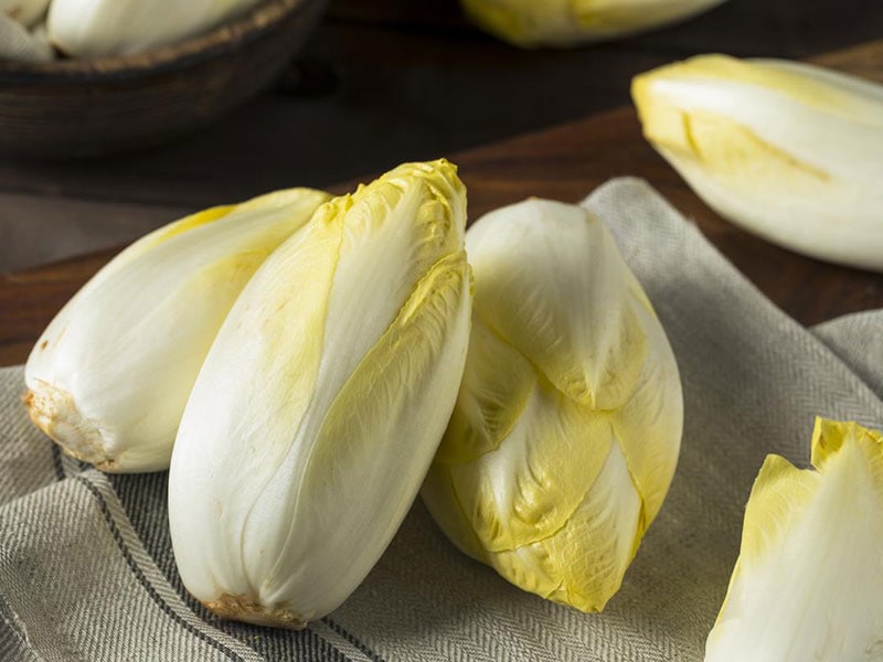 Belgian Endive