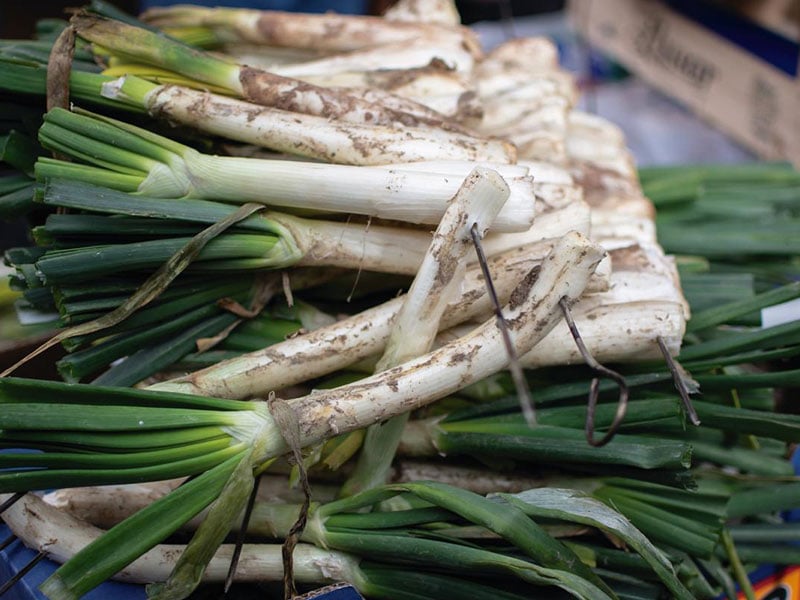 Calcot de Valls