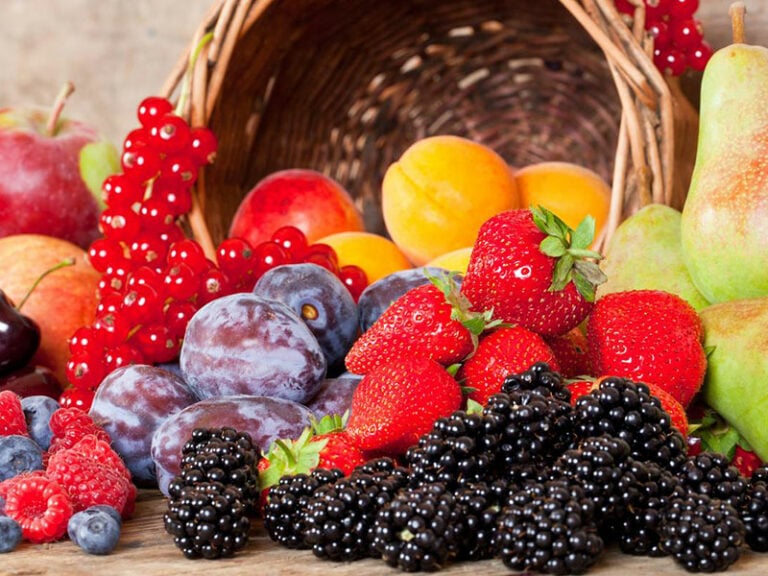 Exquisite European Fruits