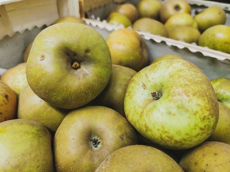 Manzana Reineta del Bierzo