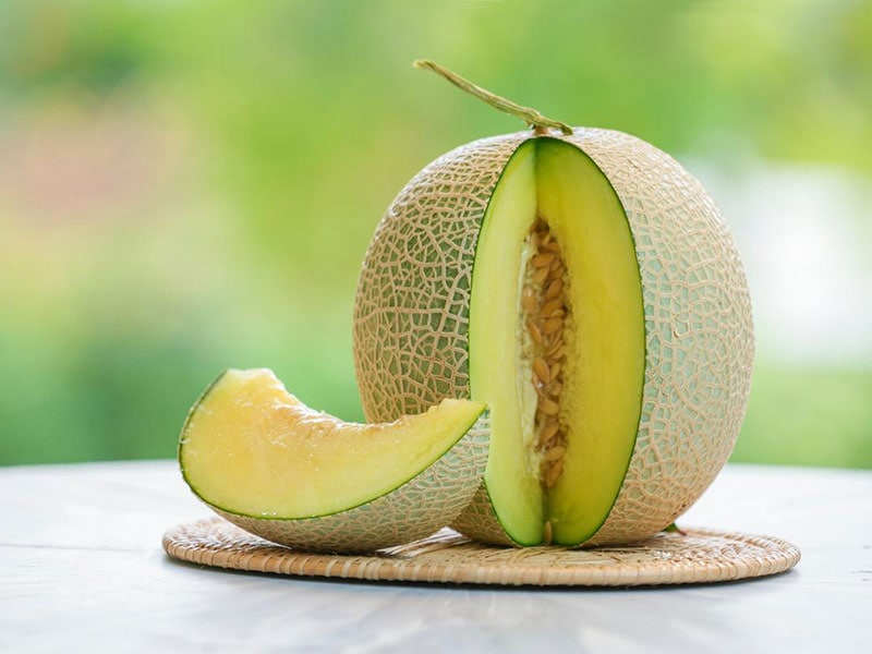 Muskmelon