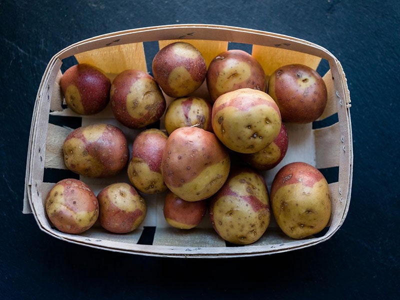 Papas Antiguas de Canarias