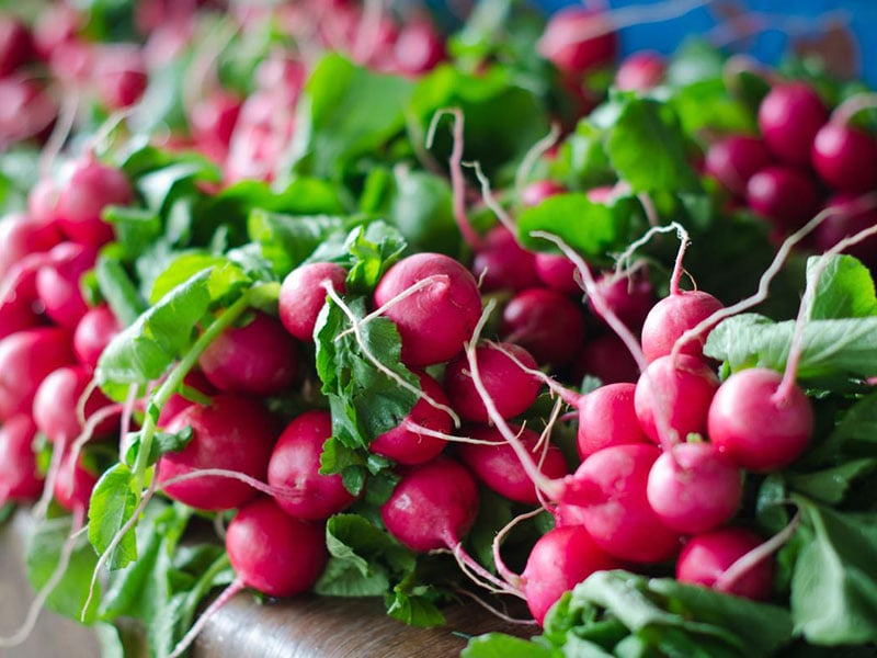 radishes