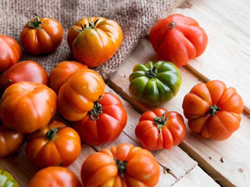 Santorini Tomato